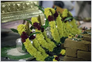 https://www.nithyananda.org/sites/default/files/photo-gallery/2011-11nov-10-nithyananda-photo-33.JPG?1321076305