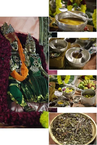 https://www.nithyananda.org/sites/default/files/photo-gallery/2011-11nov-10-nithyananda-photo-34.JPG?1321076405