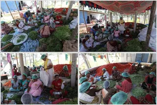 Workers from various places in Tamil Nadu groups together to help for this cause in whatever way they can...