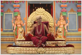 Swamiji reminds us to have less respect for our small lower selves, the pseudo-identity we blindly cherish as our essence.