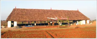 Tiruvannamalai Nithyananda Dhyanapeetam inaugurates the New Goshala today...