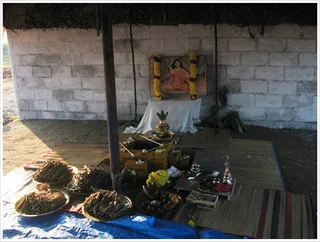 http://nithyananda.org/sites/default/files/photo-gallery/2012-01jan-16-nithyananda-photo-21.JPG
