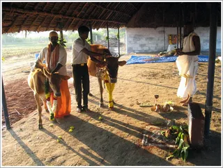 http://nithyananda.org/sites/default/files/photo-gallery/2012-01jan-16-nithyananda-photo-23.JPG