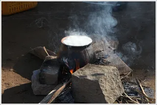 Nithyananda Goshala celebrates Farmers Day (Mattu Pongal)...