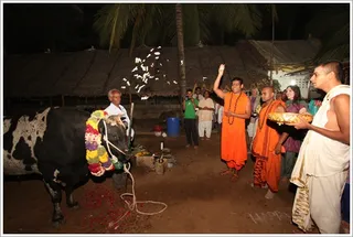 Swamiji showers flowers on Nandi...