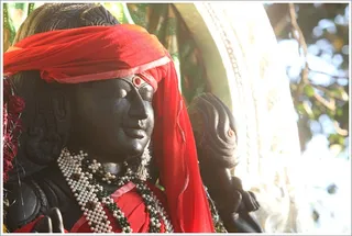 Primordial Guru Dakshinamurti under the sacred Banyan tree glitters in the Sun...