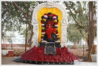 http://nithyananda.org/sites/default/files/photo-gallery/2012-01jan-22-nithyananda-photo-4_0.JPG