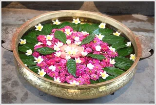 http://nithyananda.org/sites/default/files/photo-gallery/2012-01jan-22-nithyananda-photo-IMG_9874.JPG