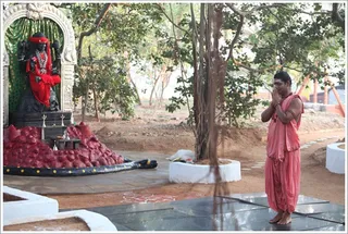 http://nithyananda.org/sites/default/files/photo-gallery/2012-01jan-23-nithyananda-photo-03.JPG