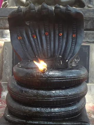 http://nithyananda.org/sites/default/files/photo-gallery/2014-02feb-05th-nithyananda-diary__SC00685_bidadi-nagalingam_0.JPG