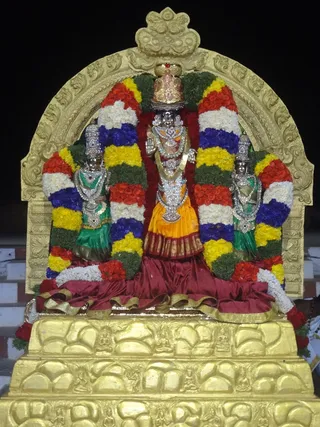 http://nithyananda.org/sites/default/files/photo-gallery/2014-02feb-06th-nithyananda-diary_DSC00722_bidadi-temple-rajarajeshwari-brahmotsavam_0.JPG