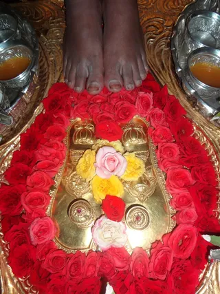 http://nithyananda.org/sites/default/files/photo-gallery/2014-02feb-06th-nithyananda-diary_DSC00865_bidadi-swamiji-padapuja_0.JPG
