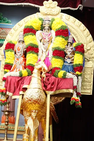 http://nithyananda.org/sites/default/files/photo-gallery/2014-02feb-07th-nithyananda-diary_IMG_9419_bidadi-leela-alankaram.JPG