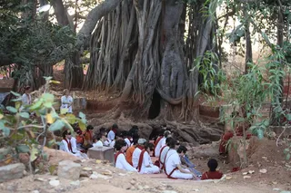 Inner Awakening session under the Banyan Tree