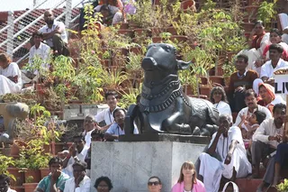 http://nithyananda.org/sites/default/files/photo-gallery/2014-02feb-27th-nithyananda-shivaratri-morning_IMG_1872_kashaya_deeksha_0.JPG