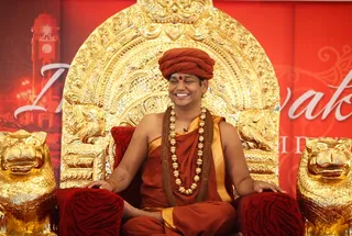 Swamiji During Satsang