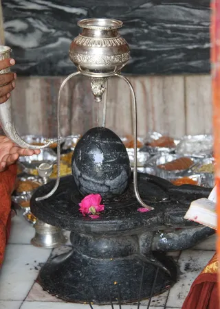 http://nithyananda.org/sites/default/files/photo-gallery/2014-03mar-15th-nithyananda-diary-haridwar_IMG_6134-20140314-200813.JPG