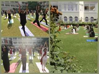 http://nithyananda.org/sites/default/files/photo-gallery/2014-05may-14-nithyananda-diary_MG_645_Collage_yoga.jpg