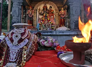 http://nithyananda.org/sites/default/files/photo-gallery/2014-06jun-14-nithyananda-diary_IMG_5309_bidadi.JPG