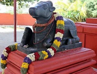 Ananda Nandi
