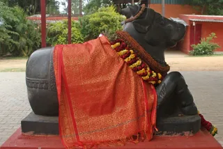 Ananda Nandi