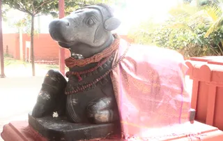 https://nithyananda.org/sites/default/files/photo-gallery/2014-07Jul-01-nithyananda-diary_IMG_1869_bidadi-temple_1.JPG?1404390920