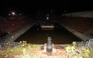 https://nithyananda.org/sites/default/files/photo-gallery/2014-07jul-07-nithyananda-diary_IMG_9657_bidadi.JPG