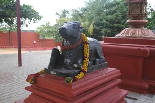 https://nithyananda.org/sites/default/files/photo-gallery/2014-07jul-17-nithyananda-diary_IMG_0659_bidadi-temple.JPG
