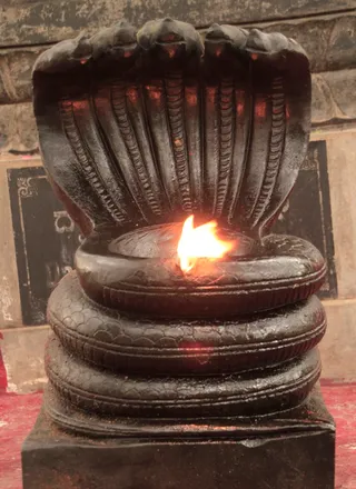 https://nithyananda.org/sites/default/files/photo-gallery/2014-08aug-03rd-nithyananda-diary_IMG_2727_bidadi-temple.JPG?1407130819