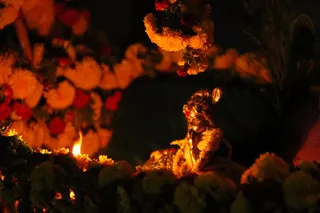 https://nithyananda.org/sites/default/files/photo-gallery/2014-08aug-17-nithyananda-diary_IMG_5551_bidadi-krishna-jenmashtami-evening-celebrations-nithyanandeshwara-temple.JPG