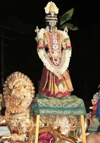 https://nithyananda.org/sites/default/files/photo-gallery/2014-08aug-21-nithyananda-diary_IMG_5238_bidadi-chandi-homa.JPG