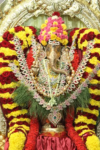 August 22 2014