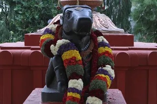 https://nithyananda.org/sites/default/files/photo-gallery/2014-08aug-22-nithyananda-diary_IMG_6538_bidadi-nithyanandeshwara-temple-ananda-nandi.JPG?1408770819