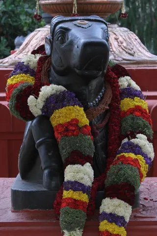 https://nithyananda.org/sites/default/files/photo-gallery/2014-08aug-22-nithyananda-diary_IMG_6540_bidadi-nithyanandeshwara-temple-ananda-nandi.JPG?1408770832