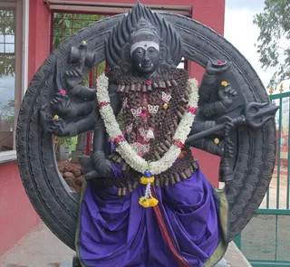 https://nithyananda.org/sites/default/files/photo-gallery/2014-09sep-03-nithyananda-diary_IMG_2189_bidadi-temple-kalabhairava.JPG?1409748868