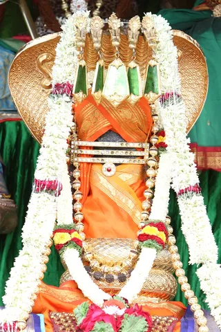 https://nithyananda.org/sites/default/files/photo-gallery/2014-09sep-10-nithyananda-diary_IMG_4111_bidadi-temple-swayambu-lingam_0.JPG