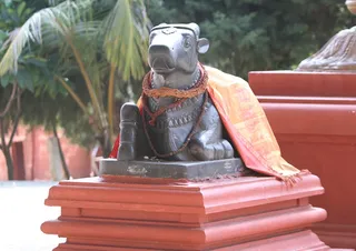 https://nithyananda.org/sites/default/files/photo-gallery/2014-09sep-11th-nithyananda-diary_IMG_4471_bidadi-temple-ananda-nandi.JPG