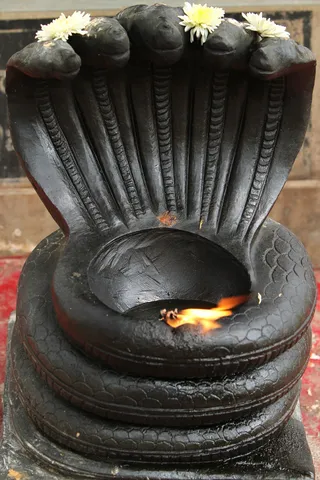 https://nithyananda.org/sites/default/files/photo-gallery/2014-09sep-16th-nithyananda-diary_IMG_6898_bidadi-temple.JPG?1411105134