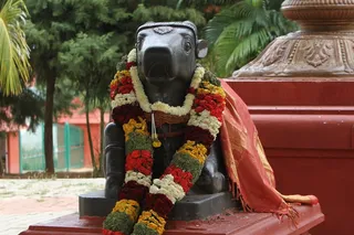 https://nithyananda.org/sites/default/files/photo-gallery/2014-09sep-18-nithyananda-diary_IMG_7347_bidadi-temple-ananda-nandi_0.JPG?1411159722