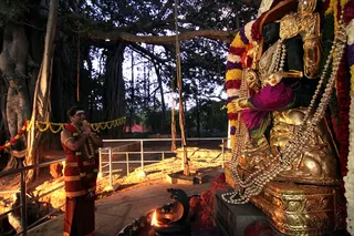https://nithyananda.org/sites/default/files/photo-gallery/2014-11nov-26th-nithyananda-diary_IMG_8544_bidadi.JPG?1417114133