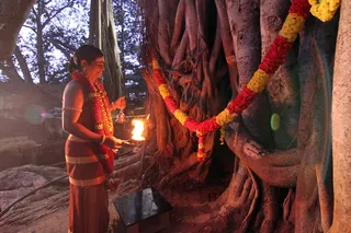 https://nithyananda.org/sites/default/files/photo-gallery/2014-11nov-26th-nithyananda-diary_IMG_8555_bidadi.JPG?1417114133