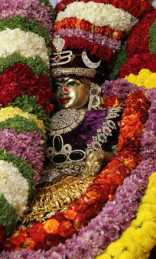 https://nithyananda.org/sites/default/files/photo-gallery/2014-11nov-29th-nithyananda-diaryIMG_9927_bidadi-temple.JPG?1417256694