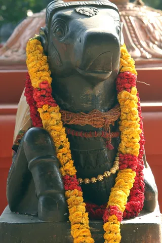 https://nithyananda.org/sites/default/files/photo-gallery/2014-12dec-03rd-nithyananda-diary_IMG_9867_bidadi-temple-anand-nandi.JPG?1417701038