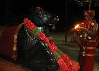 http://nithyananda.org/sites/default/files/photo-gallery/2014-12dec-05th-nithyananda-diary_IMG_0409_bidadi-karthjgai-deepam_0.JPG