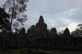 Photo 11690995