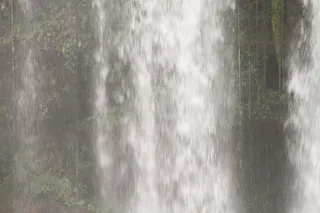 Photo 11691131