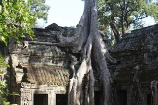 Photo 11691263