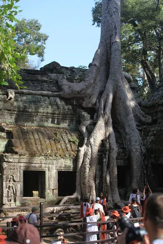 Photo 11691266