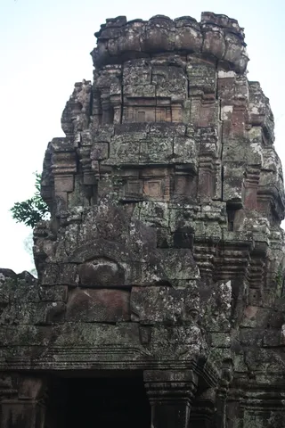 Photo 11691272