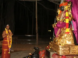http://nithyananda.org/sites/default/files/photo-gallery/2015-01jan-01st-nithyananda-diary_IMG_0029_bidadi-swamiji.JPG